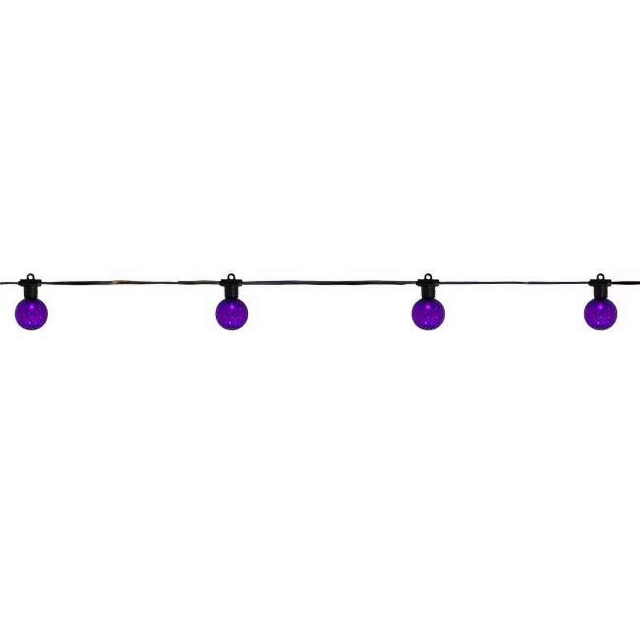 Picture of Celebrations 9086897 LED Prelit Halloween Lights&#44; Purple - 25 Count