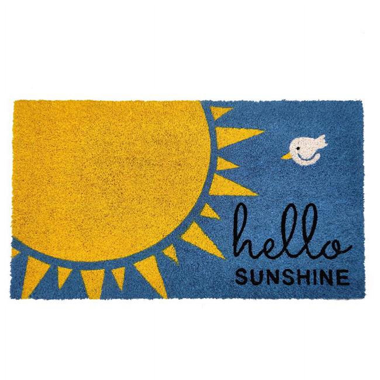 30 x 18 in. Hello Sunshine Coir Door Mat, Multi Color