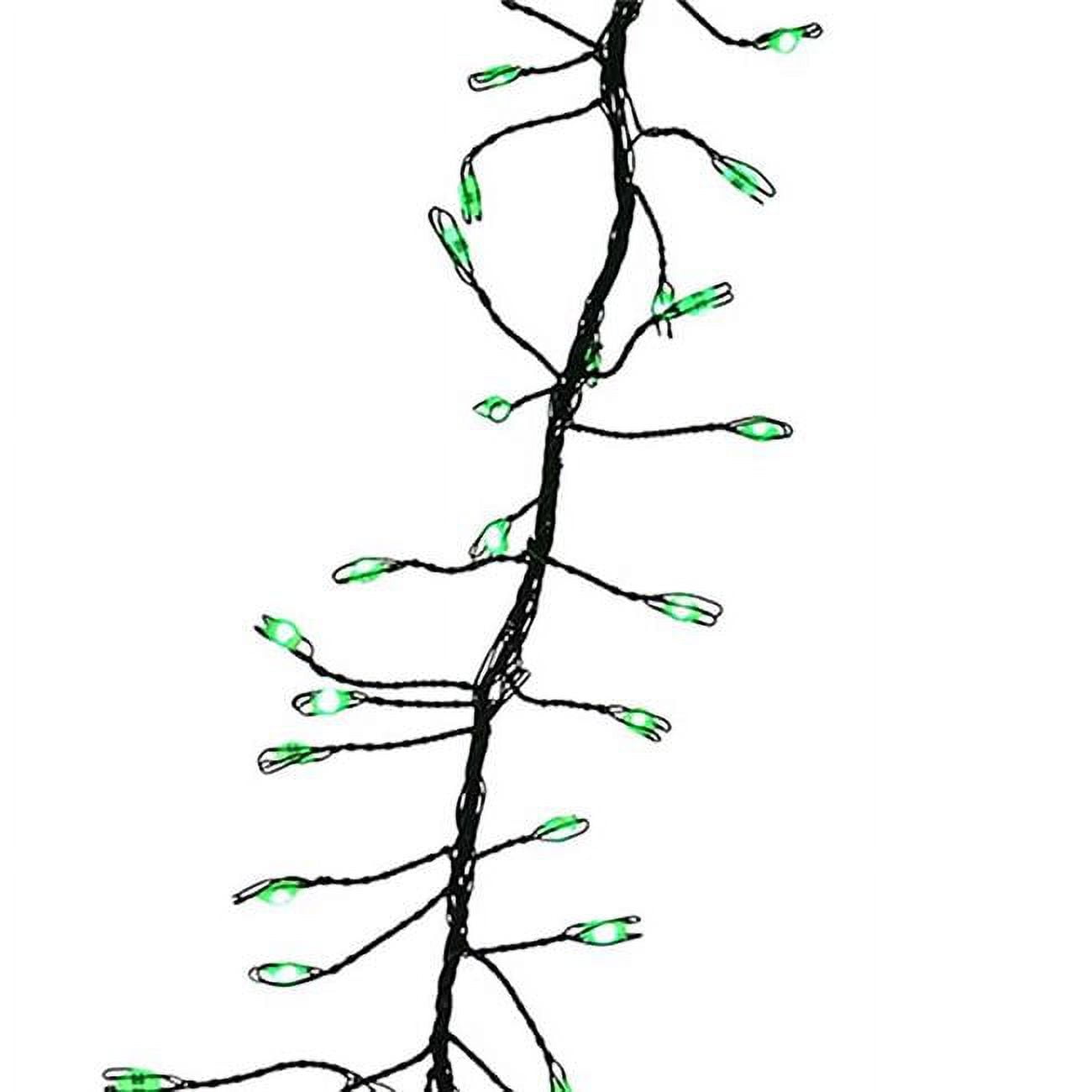 9086865 LED Big Seed Cluster String Christmas Lights, Green - 250 Count