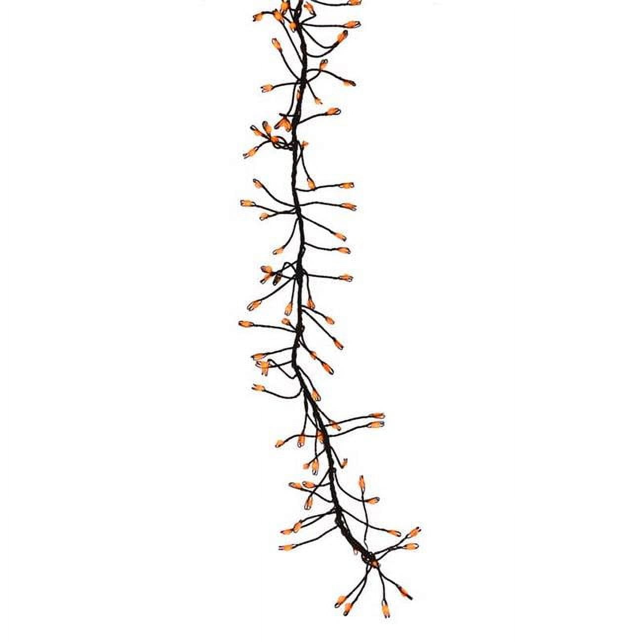 Picture of Celebrations 9086902 LED Connectable Big Seed Cluster Halloween Lights&#44; Orange - 250 Count