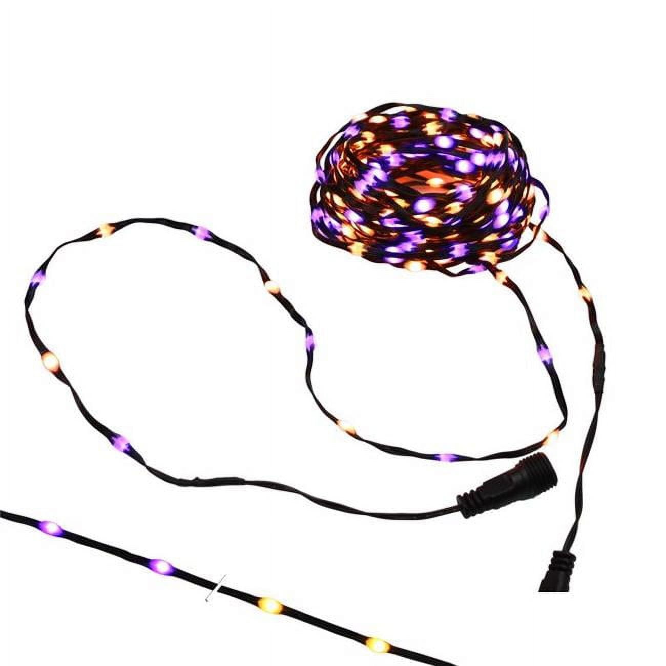 LED Ribbon Lights, Orange & Purple - 100 Count