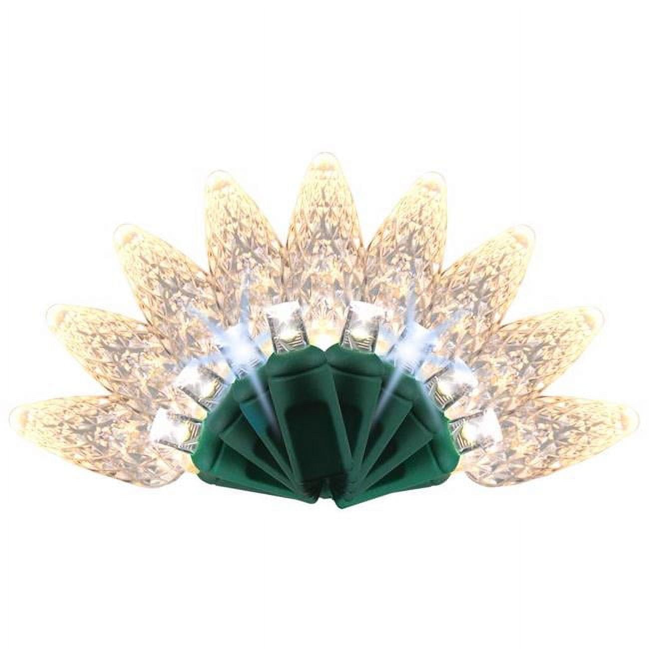 9086412 25 ft. Platinum LED C6 String Christmas Lights, White - 50 Count