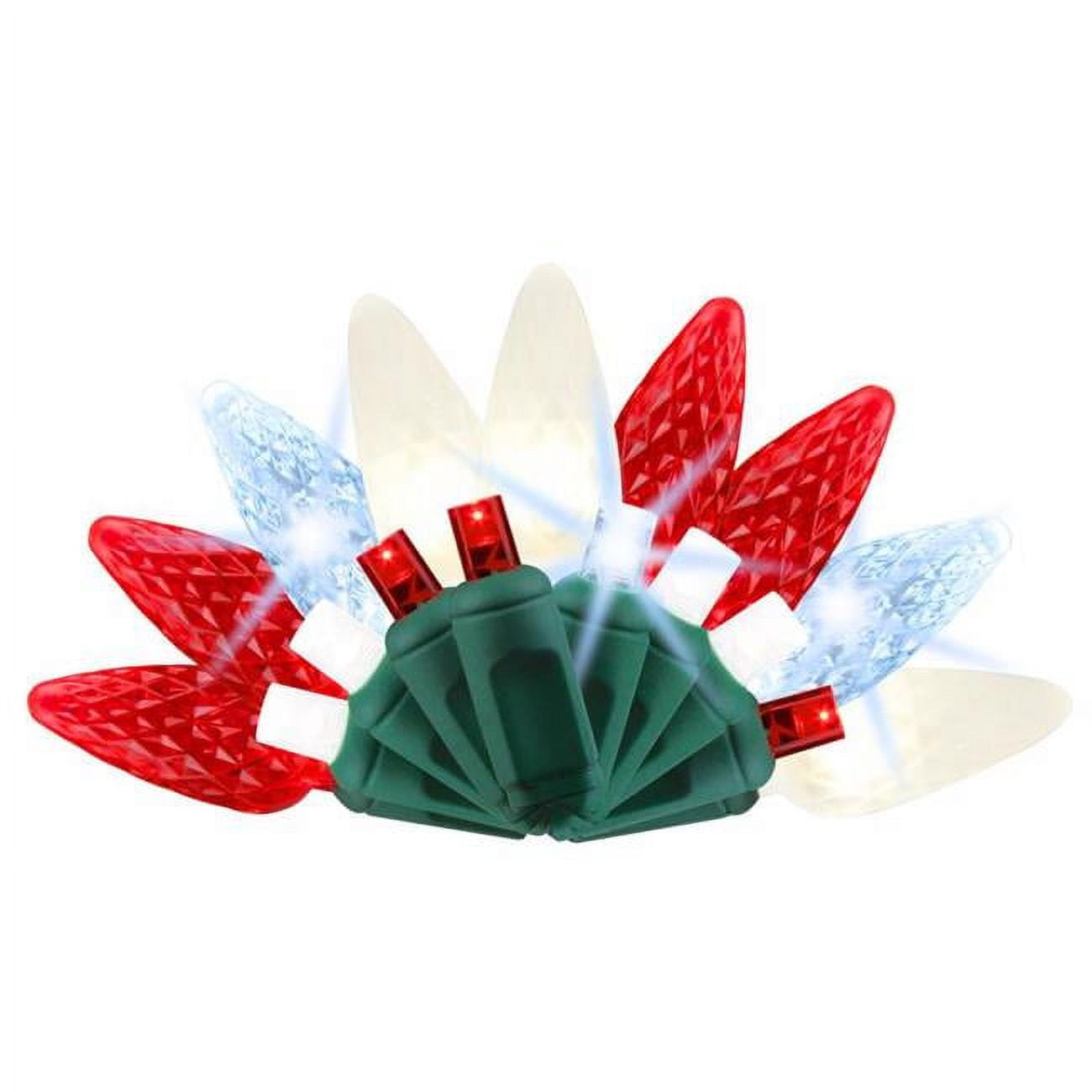 9086414 25 ft. Platinum LED C6 String Christmas Lights, Red & White - 50 Count