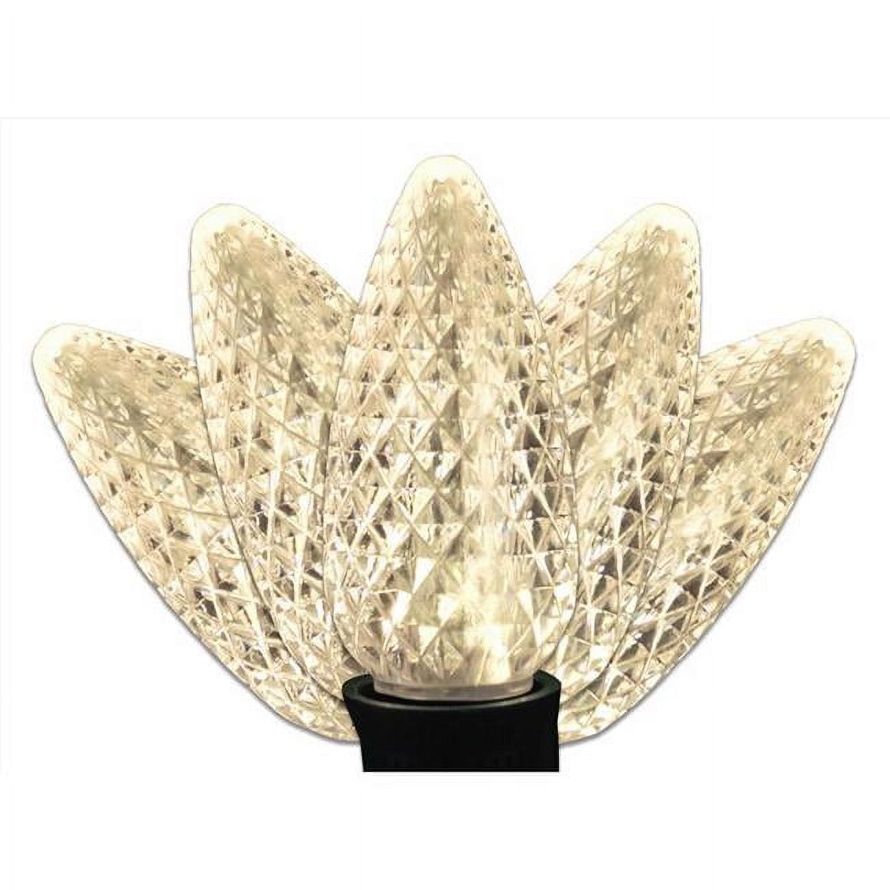 9086415 25 ft. Platinum LED C9 String Christmas Lights, Warm White - 25 Count
