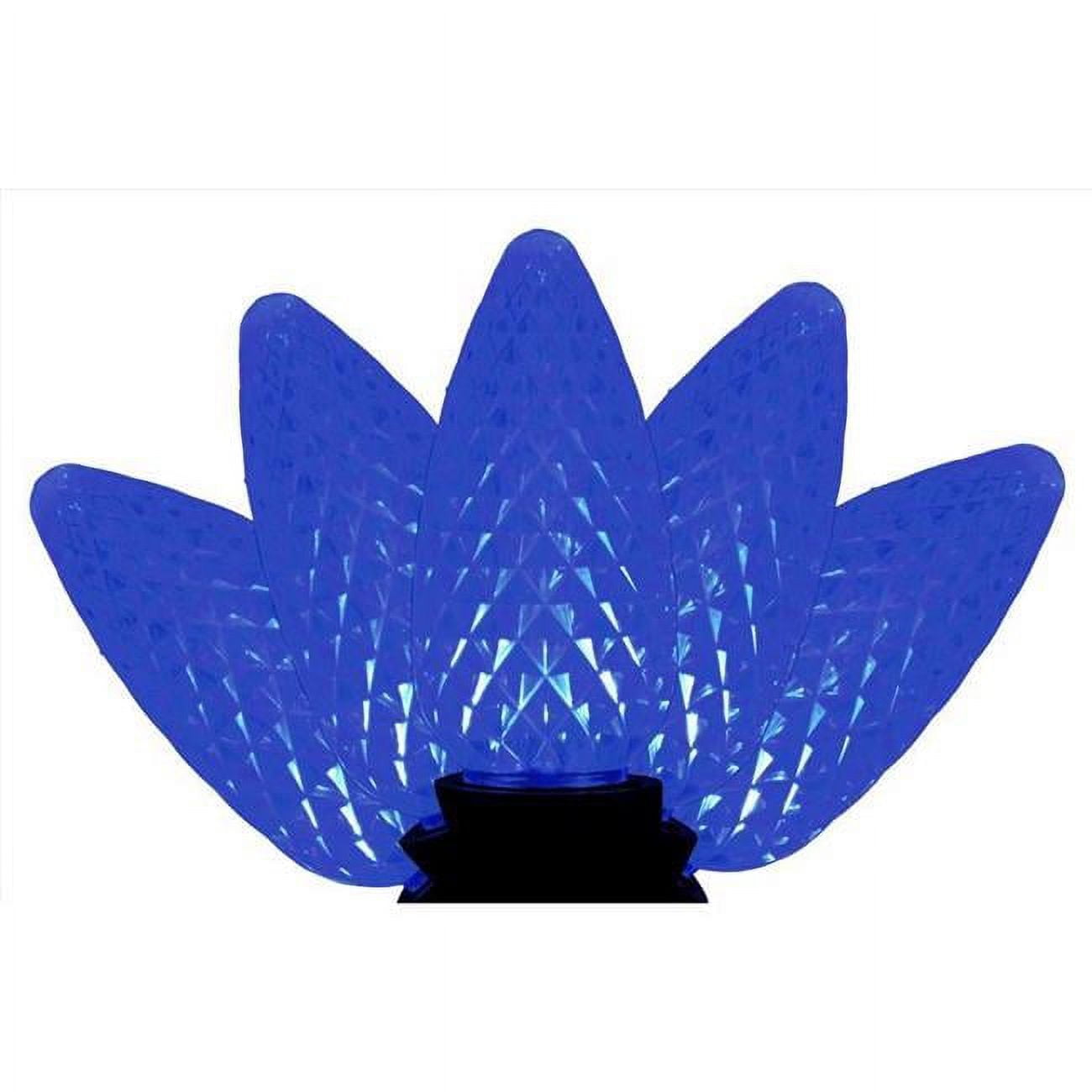 9086420 25 ft. Platinum LED C9 String Christmas Lights, Blue - 25 Count