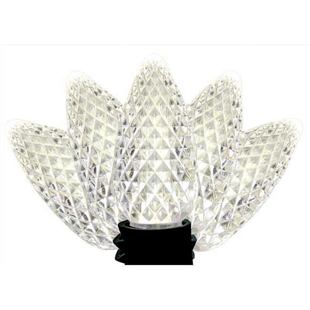 9086423 25 ft. Platinum LED C9 String Christmas Lights, Pure White - 25 Count