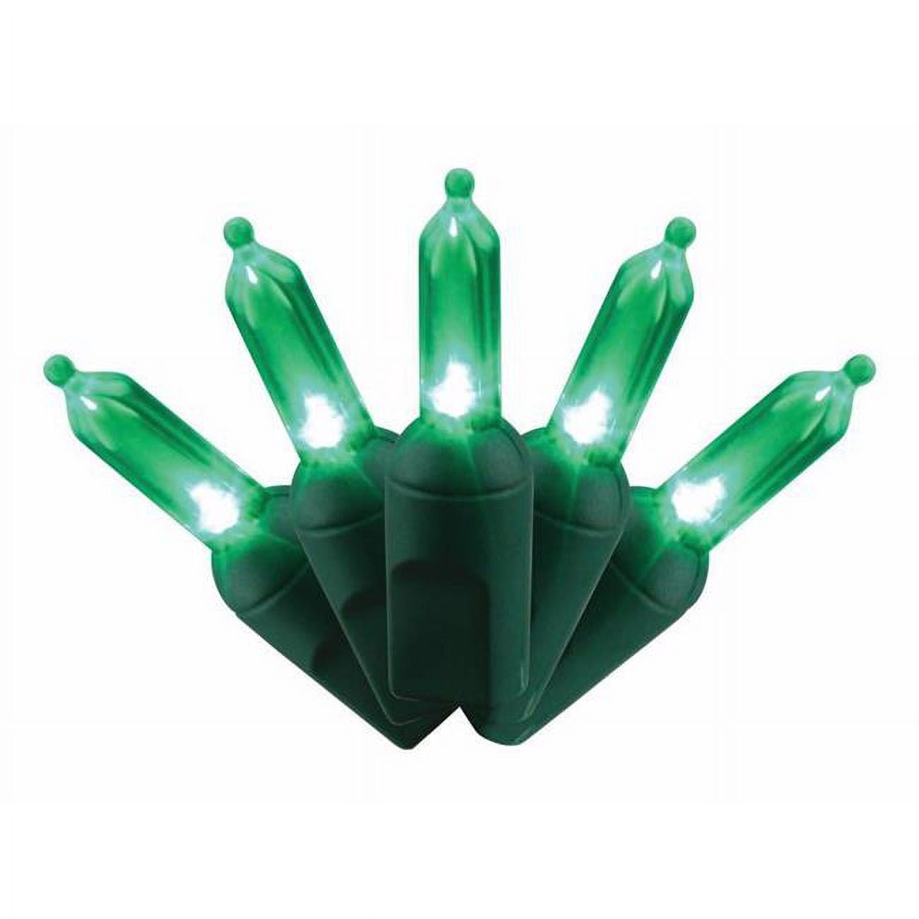 9086330 25 ft. Platinum LED T5 String Christmas Lights, Green - 50 Count