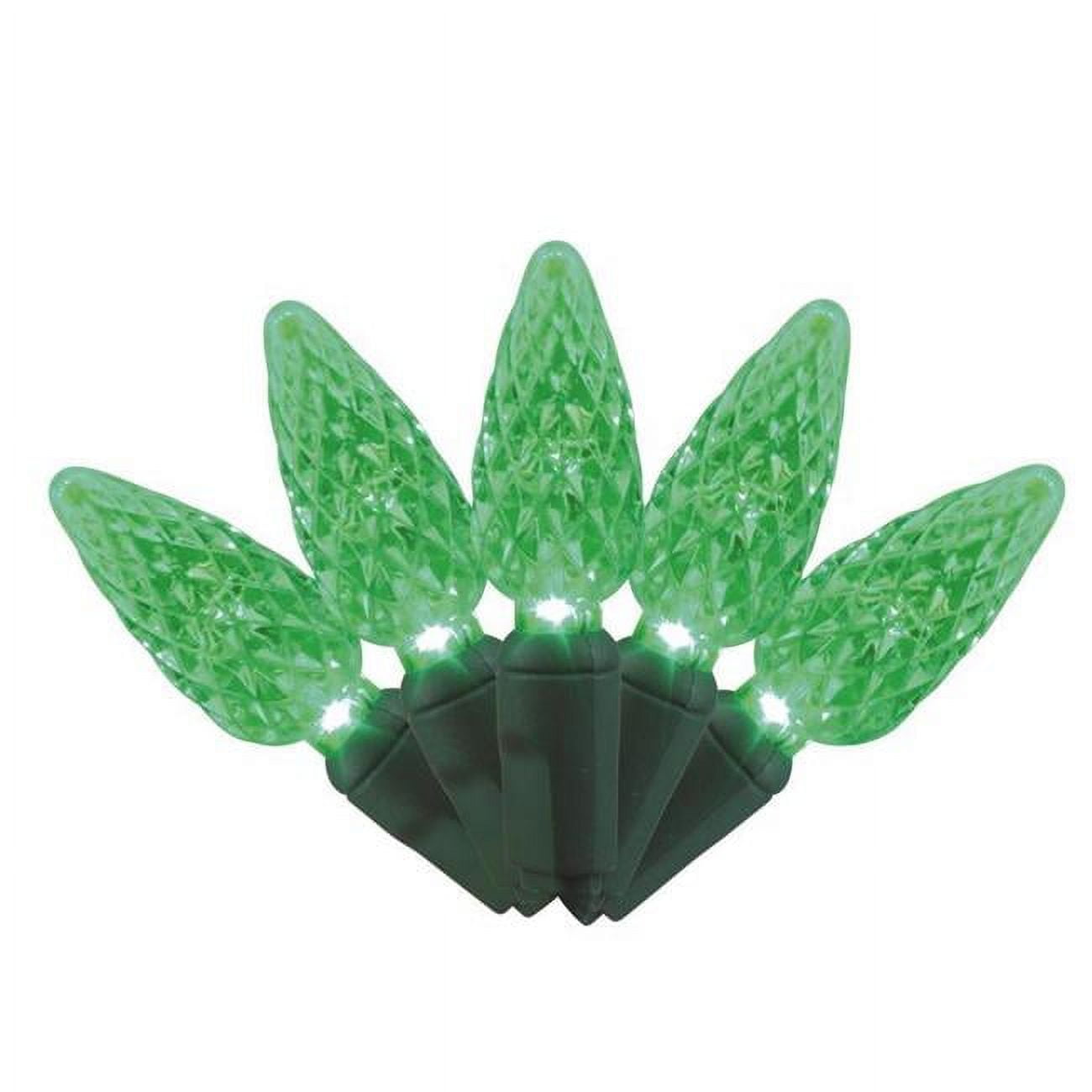 9086341 25 ft. Platinum LED C6 String Christmas Lights, Green - 50 Count