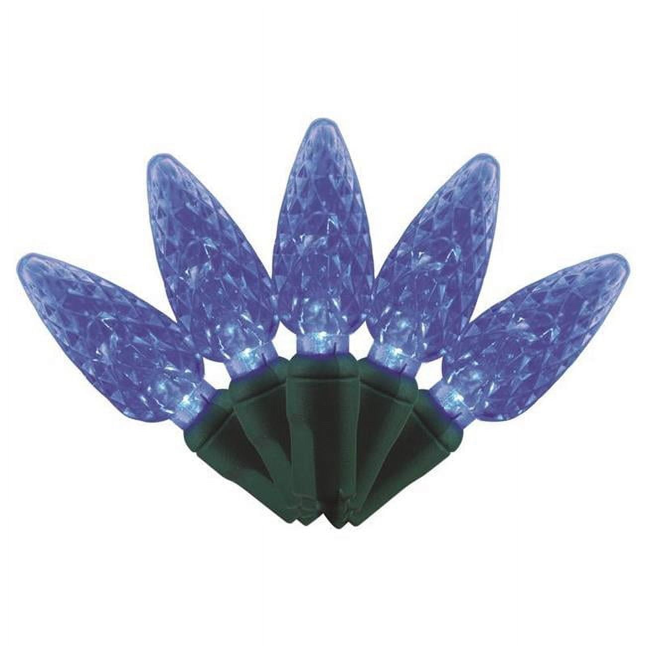 9086342 25 ft. Platinum LED C6 String Christmas Lights, Blue - 50 Count