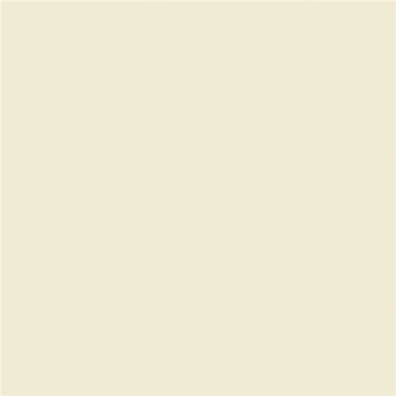 Benjamin Moore Acadia White Peel & Stick Color Sample OC-38