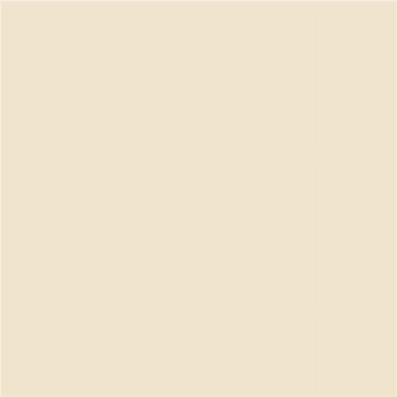 Benjamin Moore Decorator's White Peel & Stick Color Sample OC-149