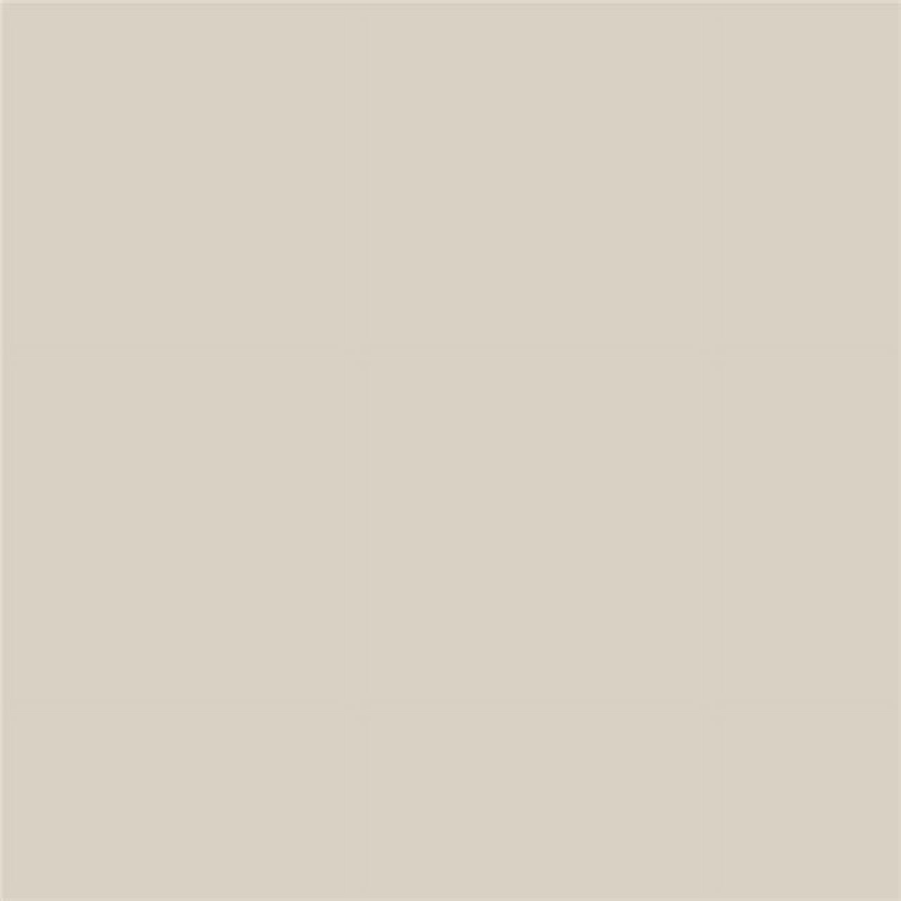 Benjamin Moore Pale Oak Peel & Stick Color Sample OC-20