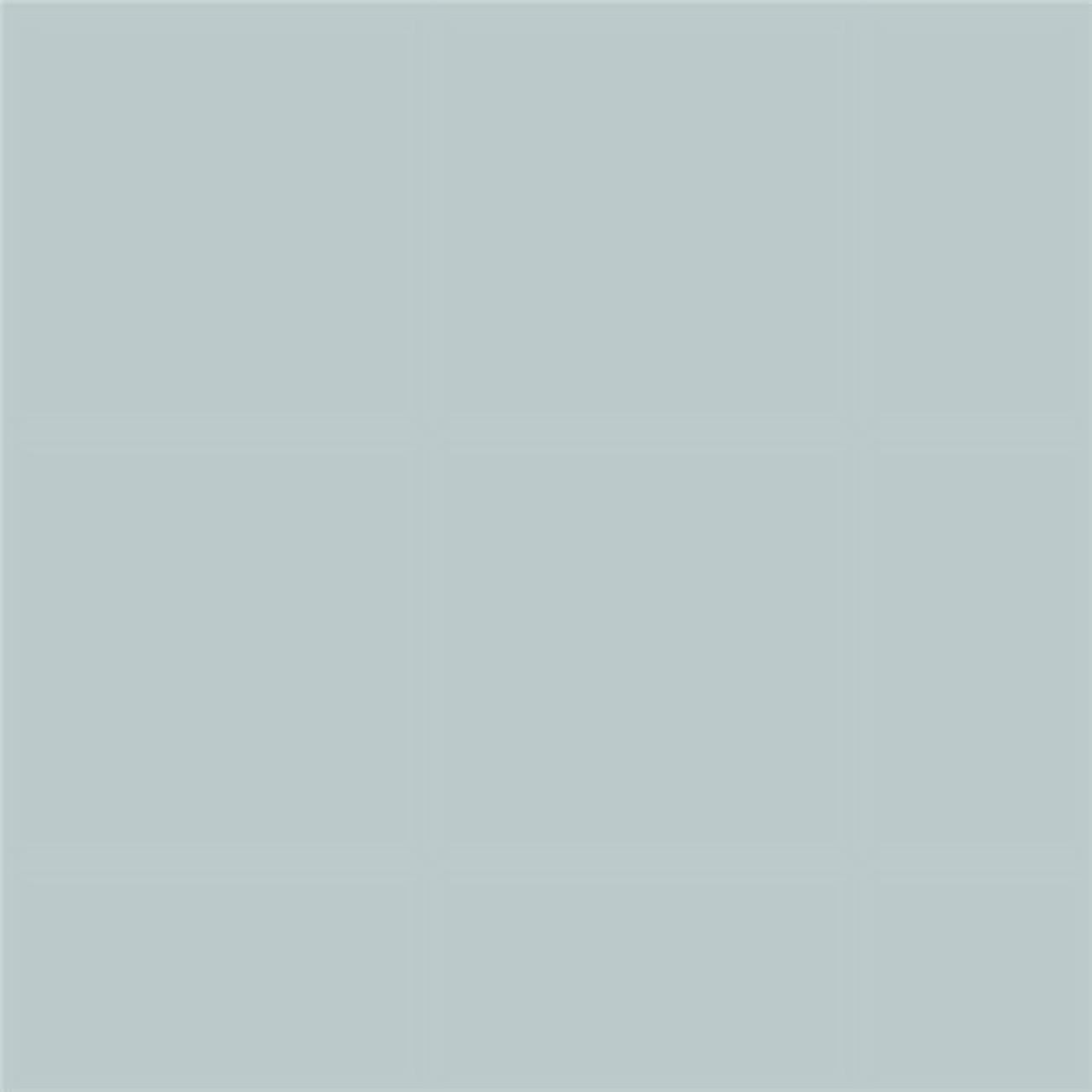 Benjamin Moore Smoke Peel & Stick Color Sample 2122-40