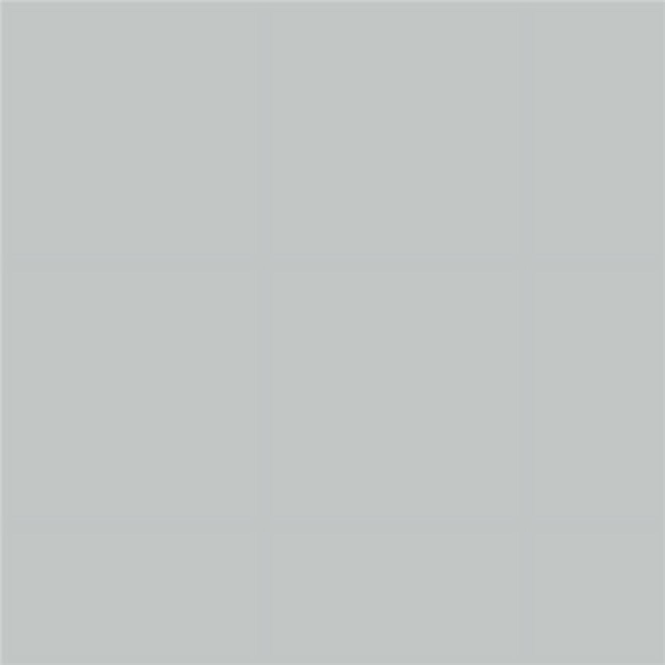 Benjamin Moore Silver Lake Peel & Stick Color Sample 1598