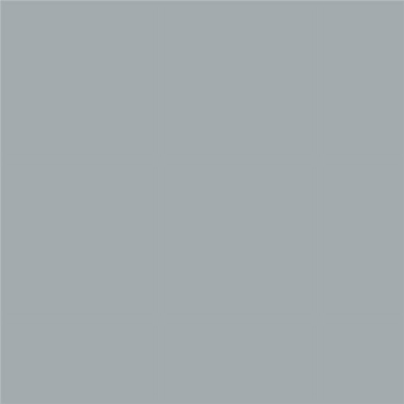 Benjamin Moore Shadow Gray Peel & Stick Color Sample 2125-40