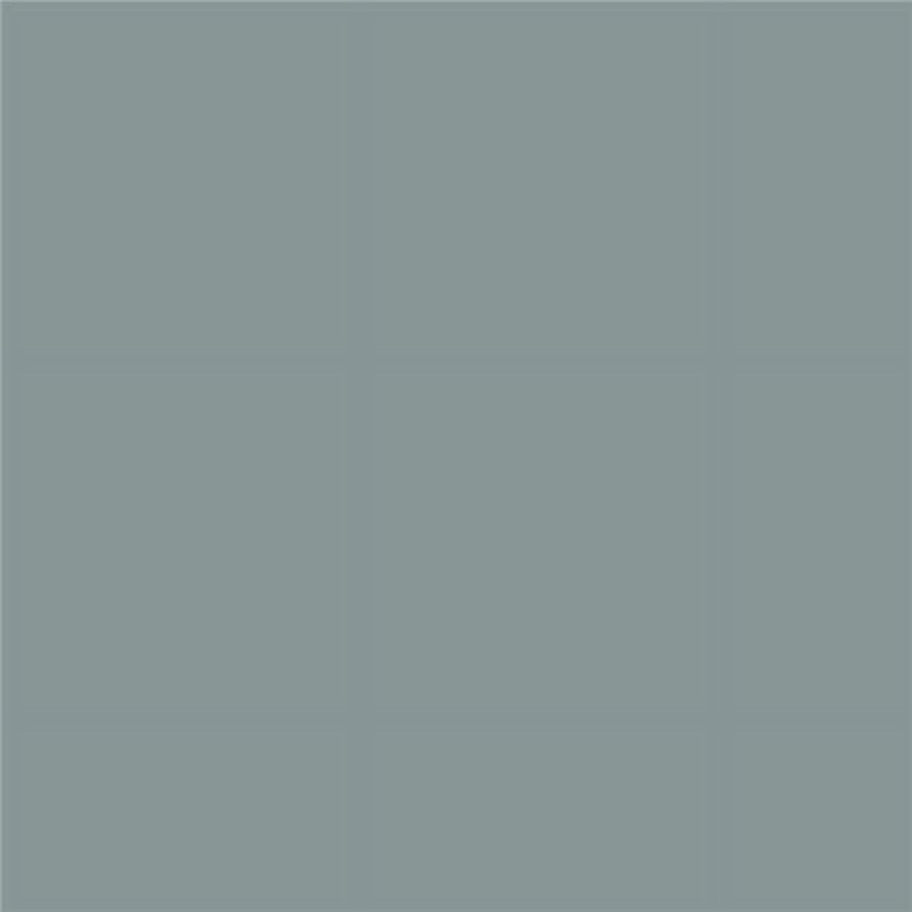 Benjamin Moore Brewster Gray Peel & Stick Color Sample HC-162
