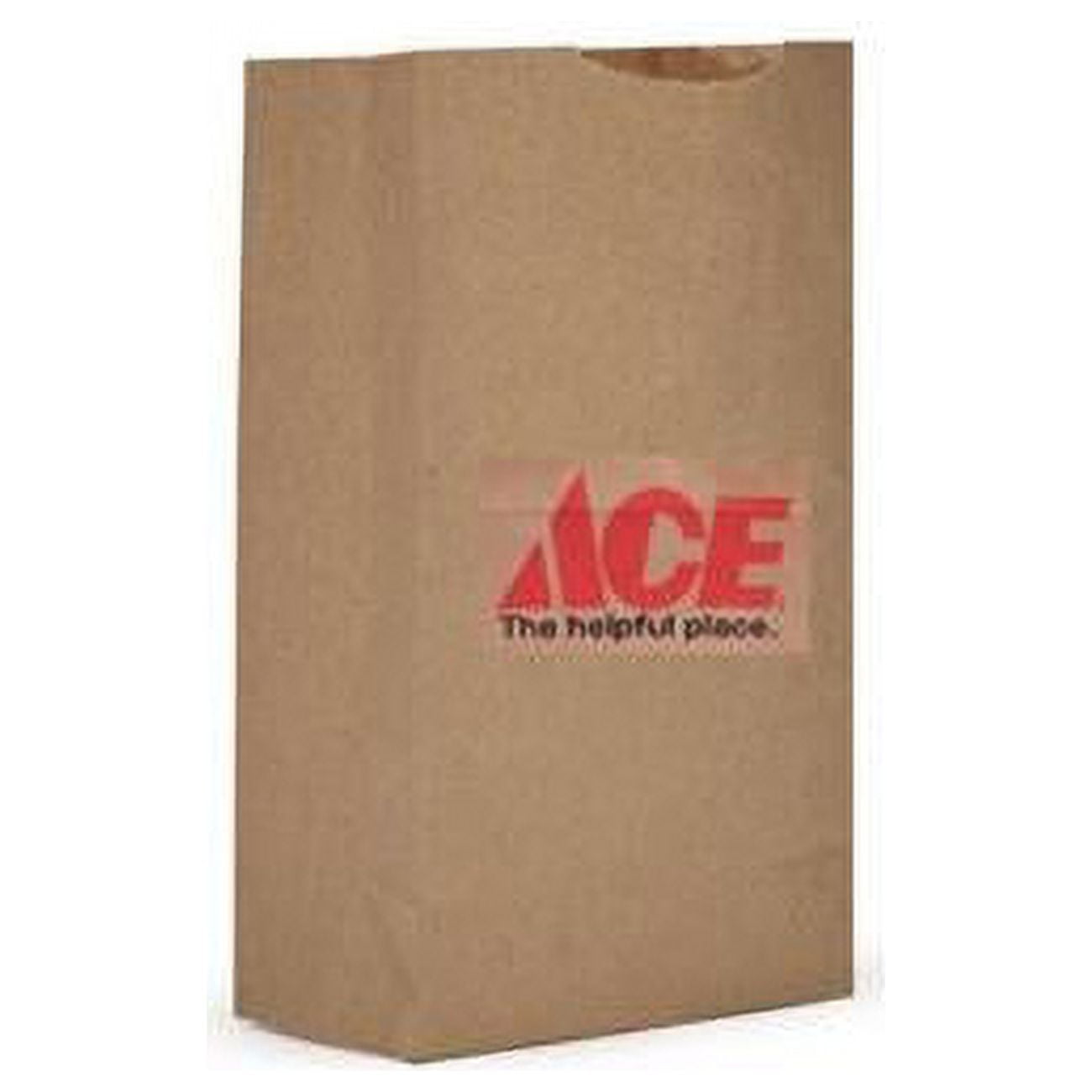 Picture of North American Bags 9091531 7.75 x 2.75 x 4.8 in. Recycled Paper Shopping Bag, Brown - Pack of 500