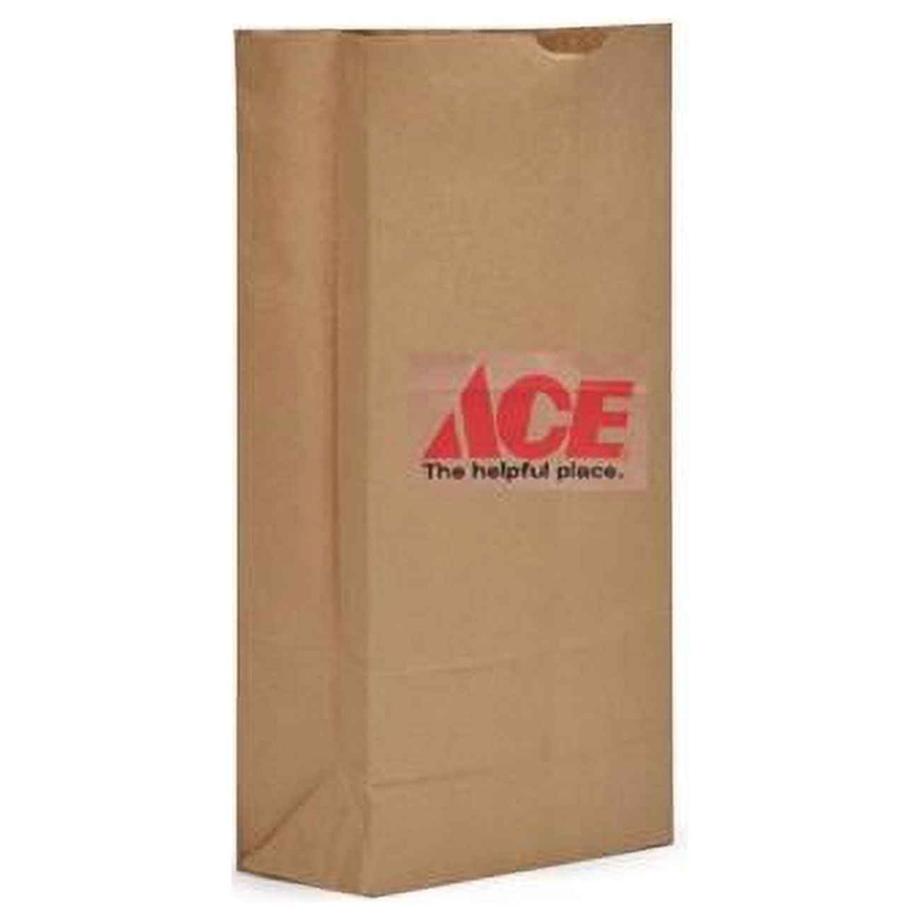 Picture of North American Bags 9091533 18 x 8.25 x 5.25 in. Recycled Paper Shopping Bag, Brown - Pack of 500
