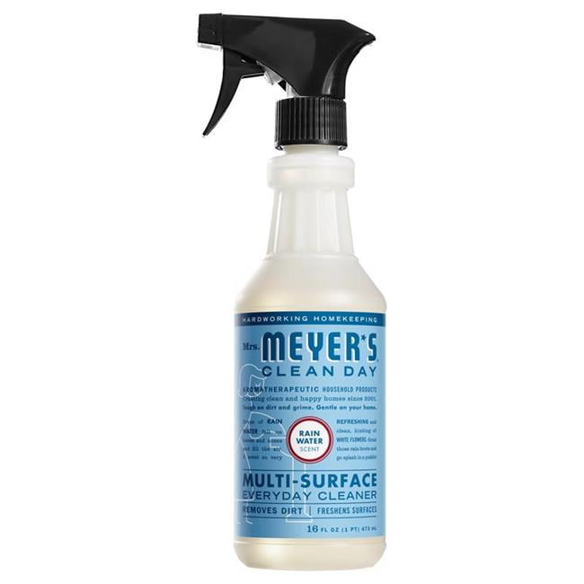 1028517 16 oz Clean Day Rain Scent MultiSurface Cleaner  Pack of 6