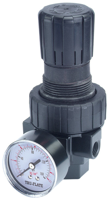 0.25 in. NPT 160 PSI Plastic Compact Regulator with Gauge