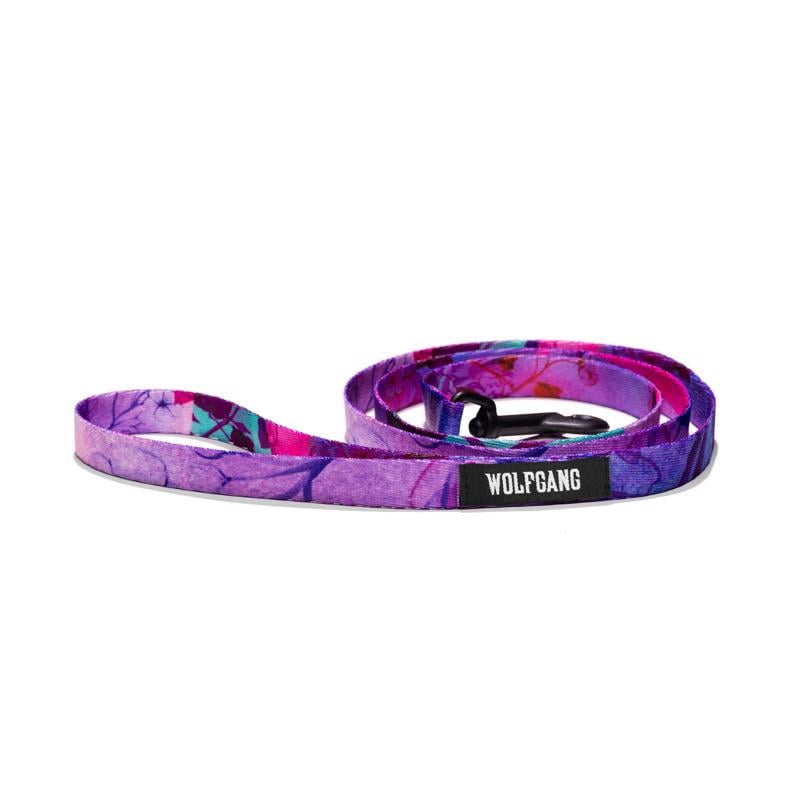 Picture of Wolfgang 8101646 4 in. Multi Color Day Dream Polyester Dog Leash&#44; Small & Medium