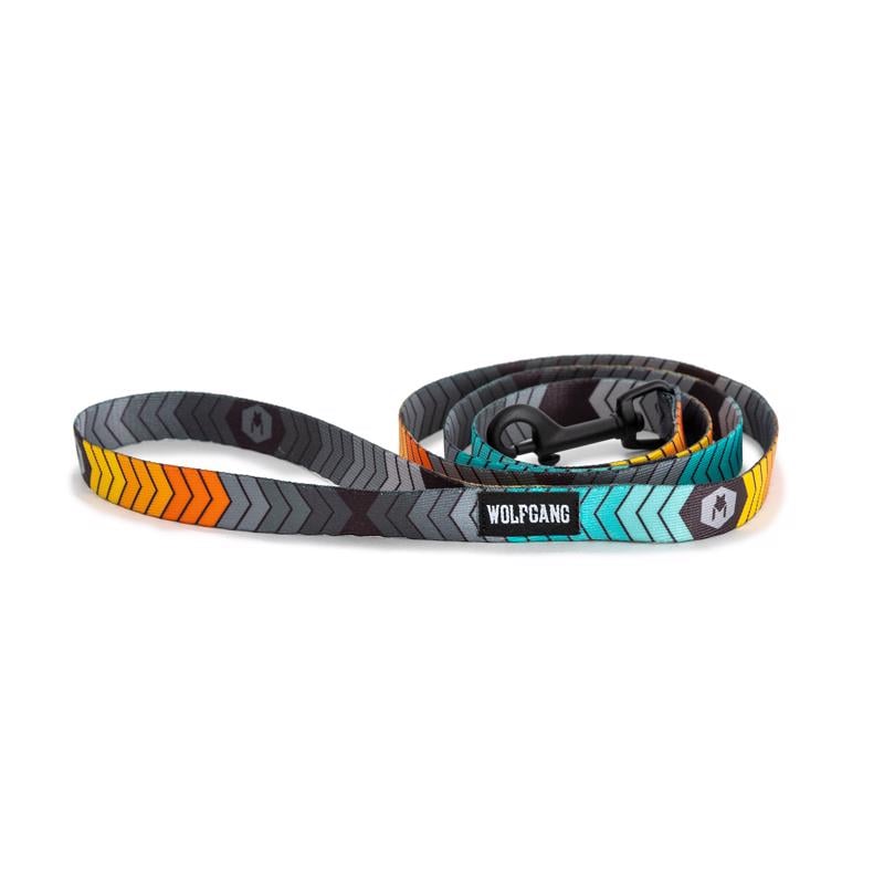 Picture of Wolfgang 8101176 4 in. Multi Color Chev Tech Polyester Dog Leash&#44; Small & Medium