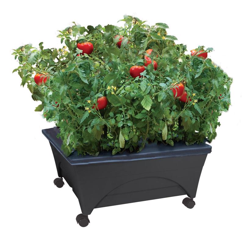 11 x 24 x 20 in. Resin Garden Bed - Charcoal