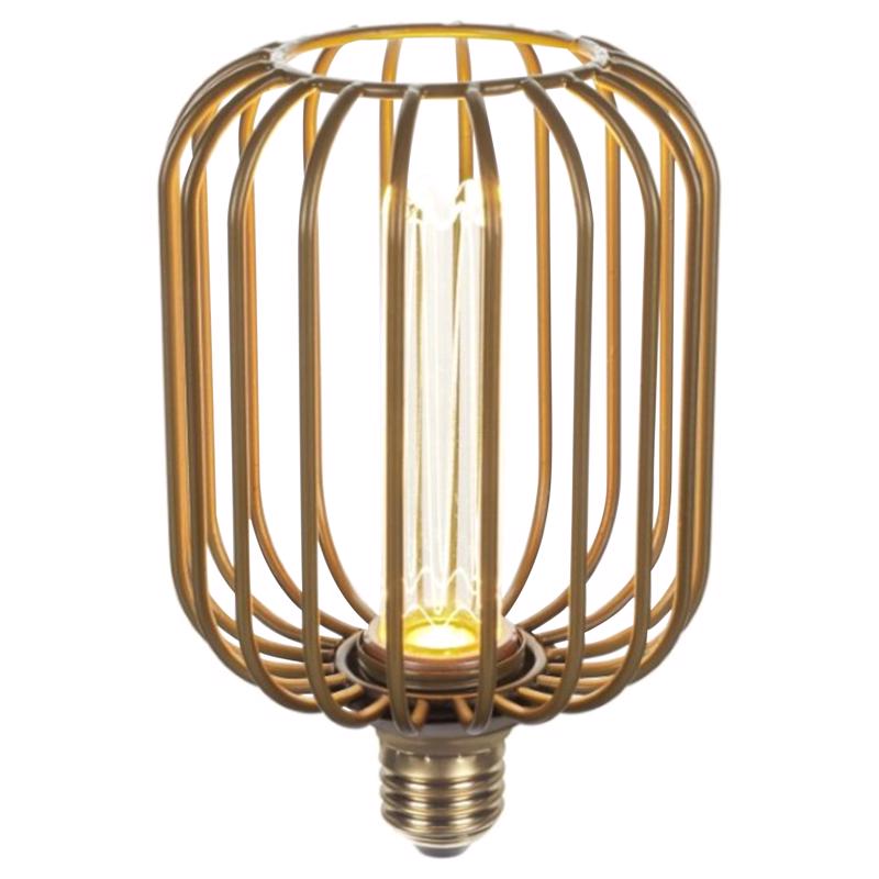 Picture of Globe Electric 3017608 Decorative E26 Medium LED 3W Equivalence Bulb&#44; Soft White
