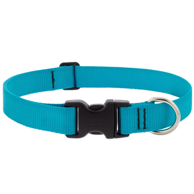 Picture of Lupine Pet 8114312 Aqua Nylon Dog Adjustable Collar - Medium & Large