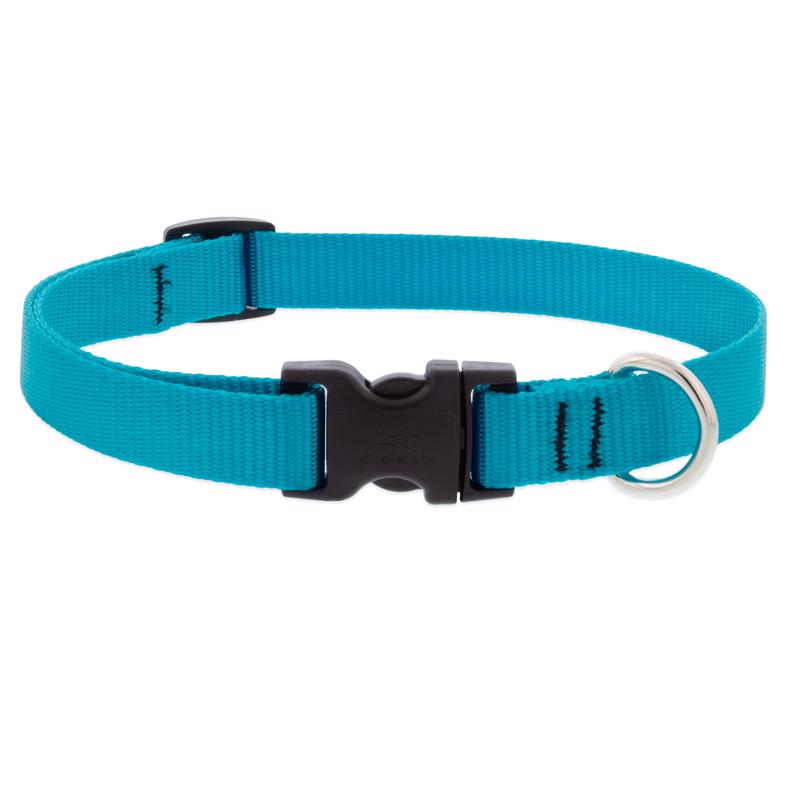 Picture of Lupine Pet 8114311 Nylon Dog Adjustable Collar&#44; Aqua - Medium