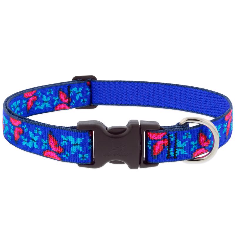 Picture of Lupine Pet 8114307 Social Butterfly Nylon Dog Adjustable Collar&#44; Blue & Pink - Medium