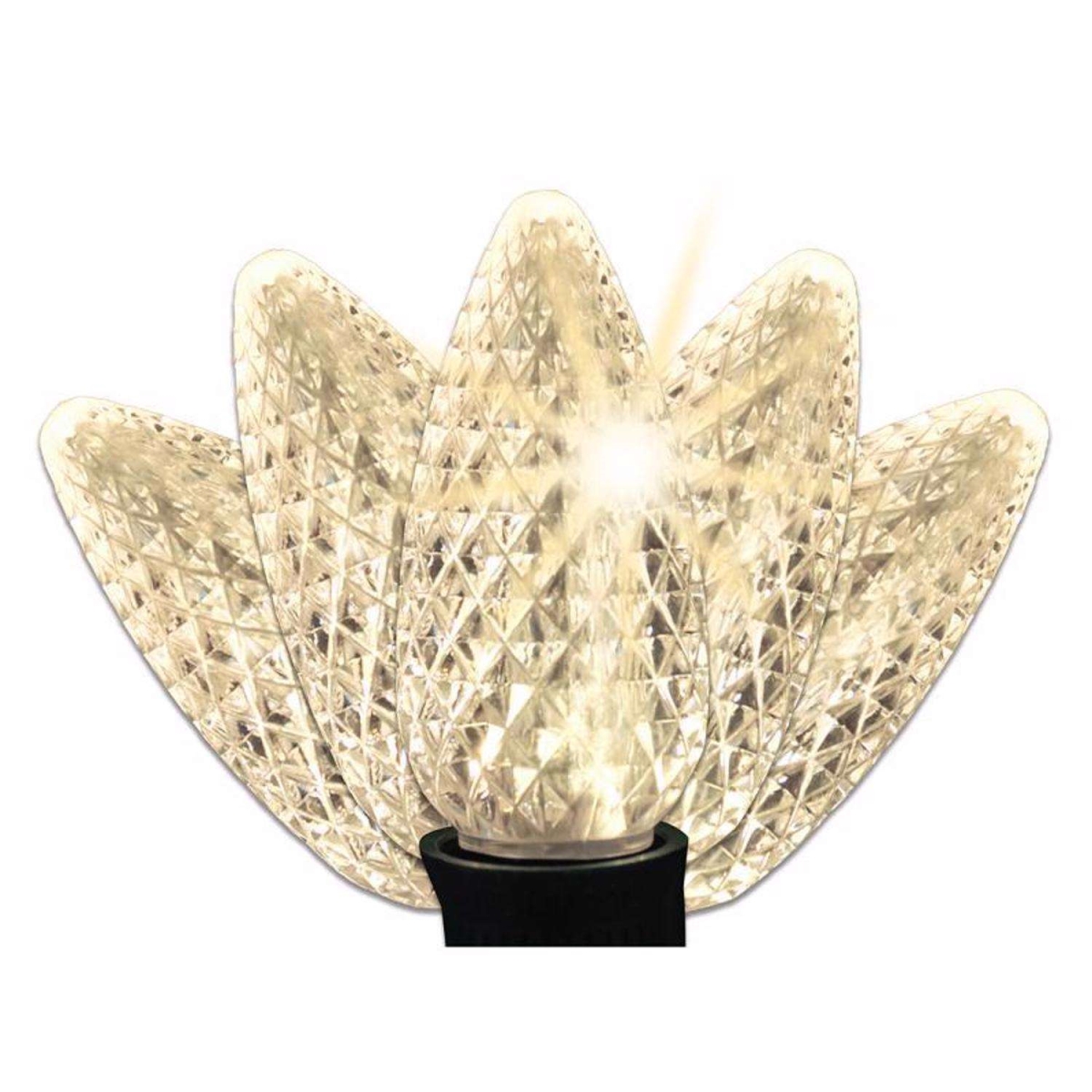 9107461 Celebrations LED C9 Warm White String Christmas Lights - 25 Count