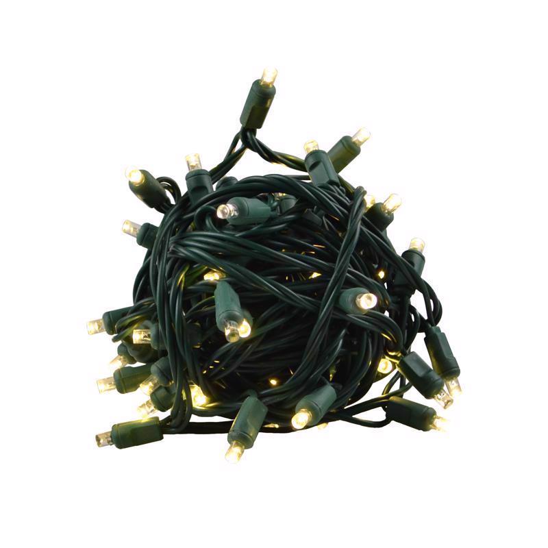 9107869 LED Grand Mini Warm White 50 Count String Christmas Lights, 25 ft.