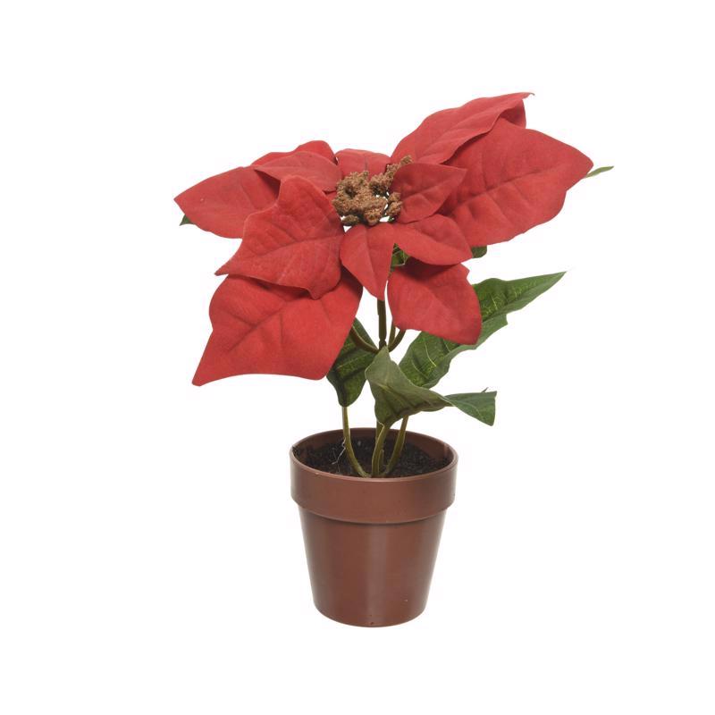 9106366 Red Poinsettia with Pot Table Decor, 8 in.