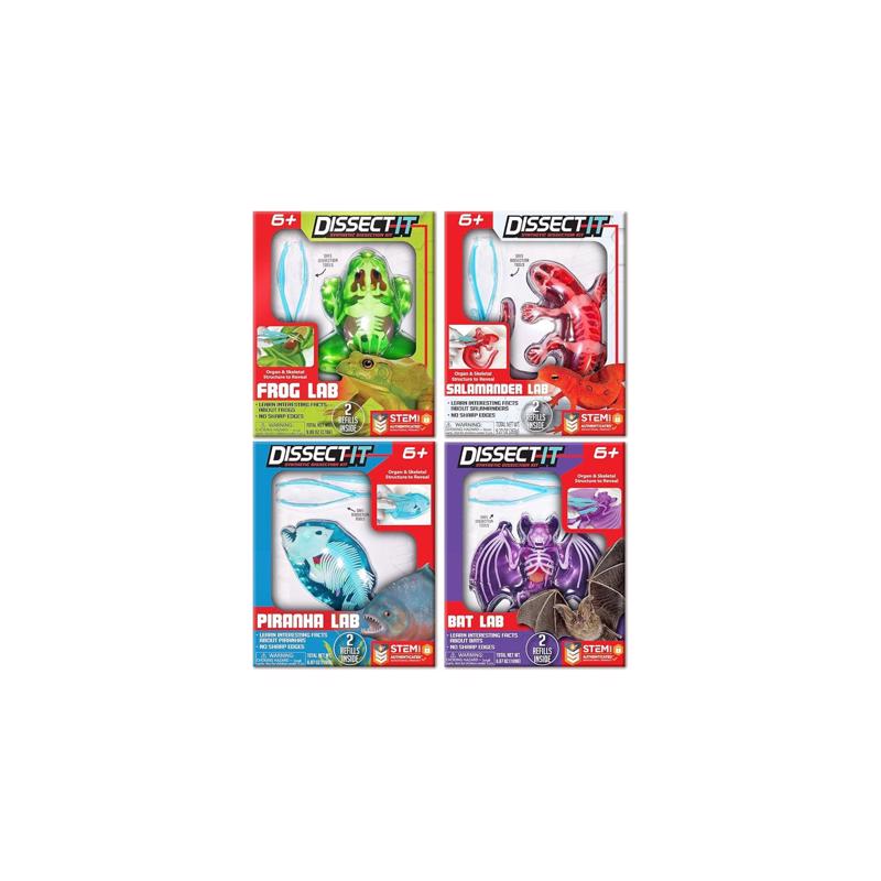 9122984 Frog, Salamander, Piranha & Bat Dissect It Mini Lab - Pack of 12