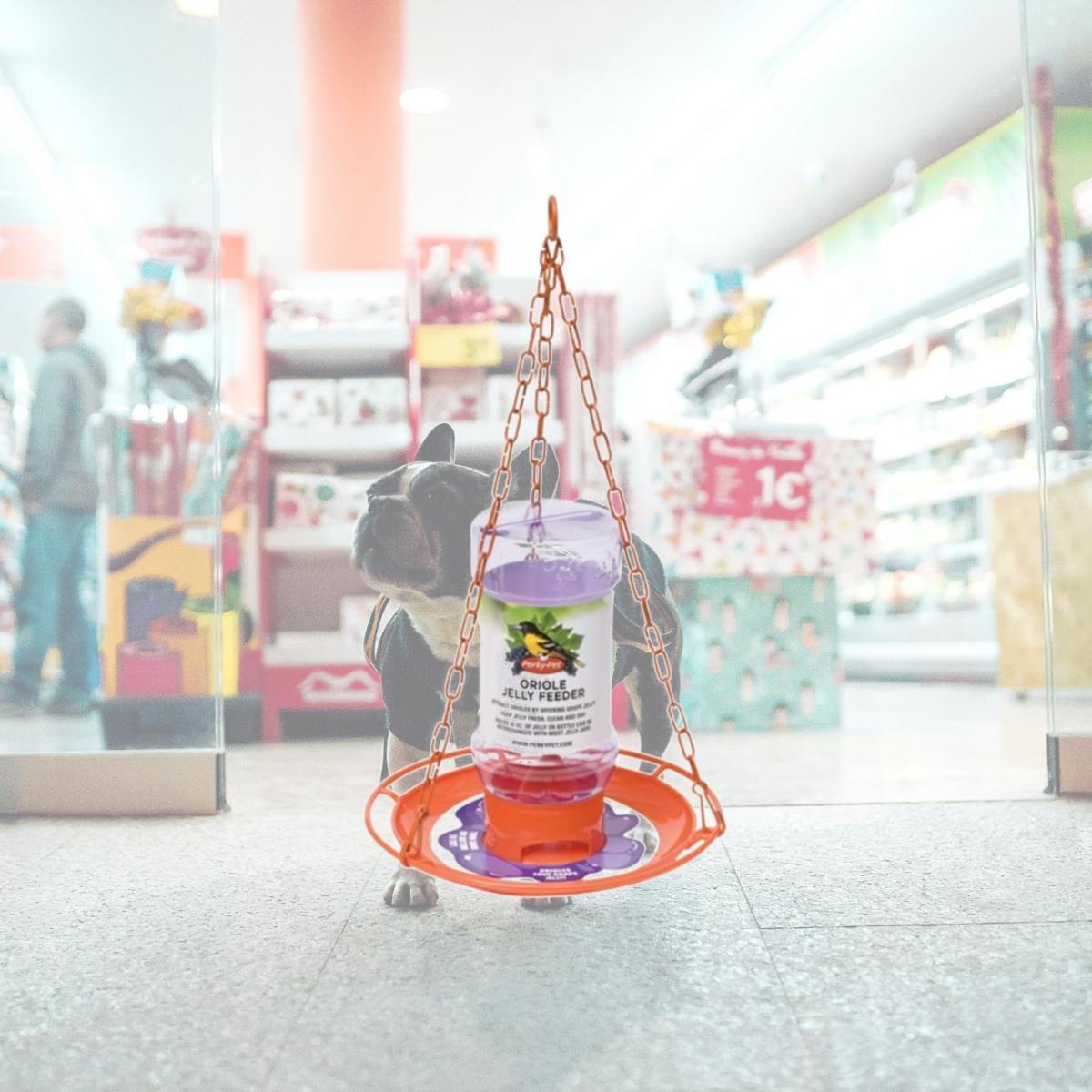 Picture of Perky Pet 253 32 oz Oriole Jelly Feeder
