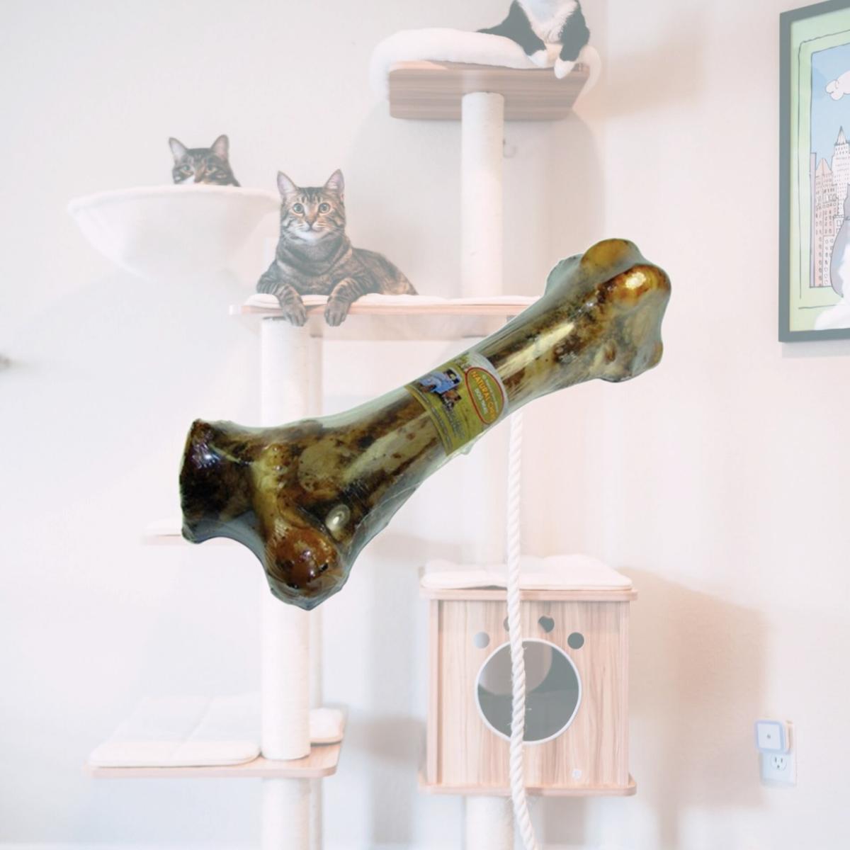 Picture of Ecco Farms 8283 American Farms Extra-Large Beef Bone Chew
