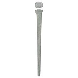 Picture of Acorn Manufacturing CCR20ZV 5 lbs 20D Common Rosehead Nail