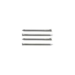 Picture of Acorn CCS7 7 in. Drive Common Siding Nail - 1 lbs