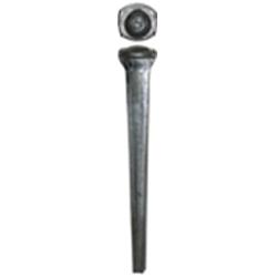 Picture of Acorn CK60V 6 in. Cut Spike with Standard Nail - 60 Drive