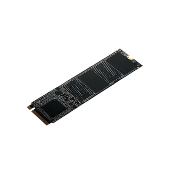 PHDD-4E11 250G M.2 SSD Solid State Drive with Windows 10 for GNR-340