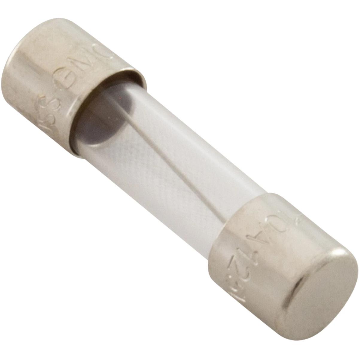Balboa Water Group 26976 5 x 20 mm 3.15A 250V Slow-Blow Fuse