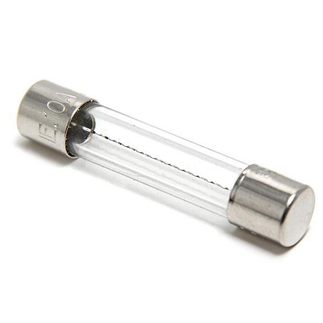 Balboa Water Group 30122 10A Blower Fuse