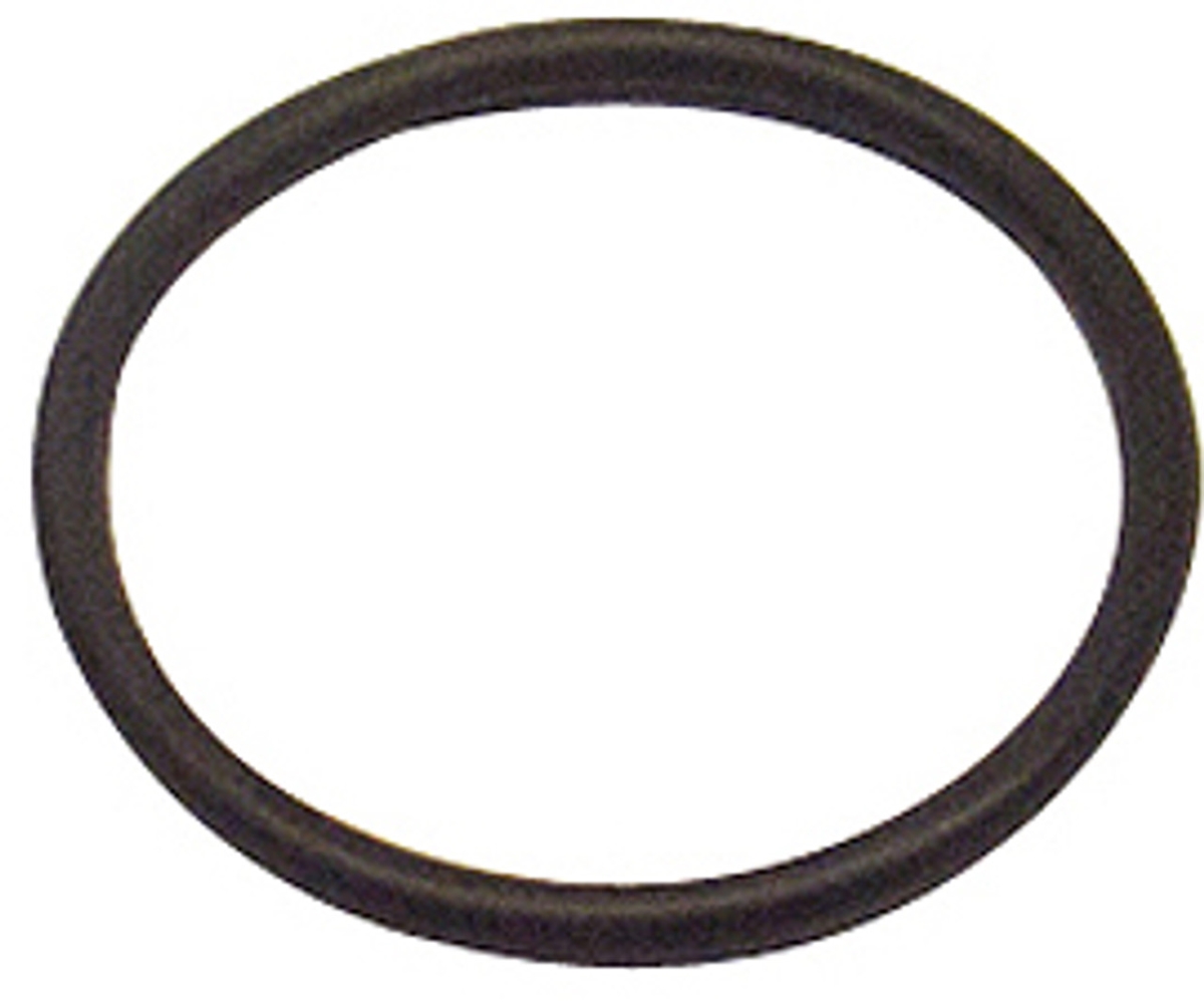 6000-001  Spas Tailpiece O-Ring