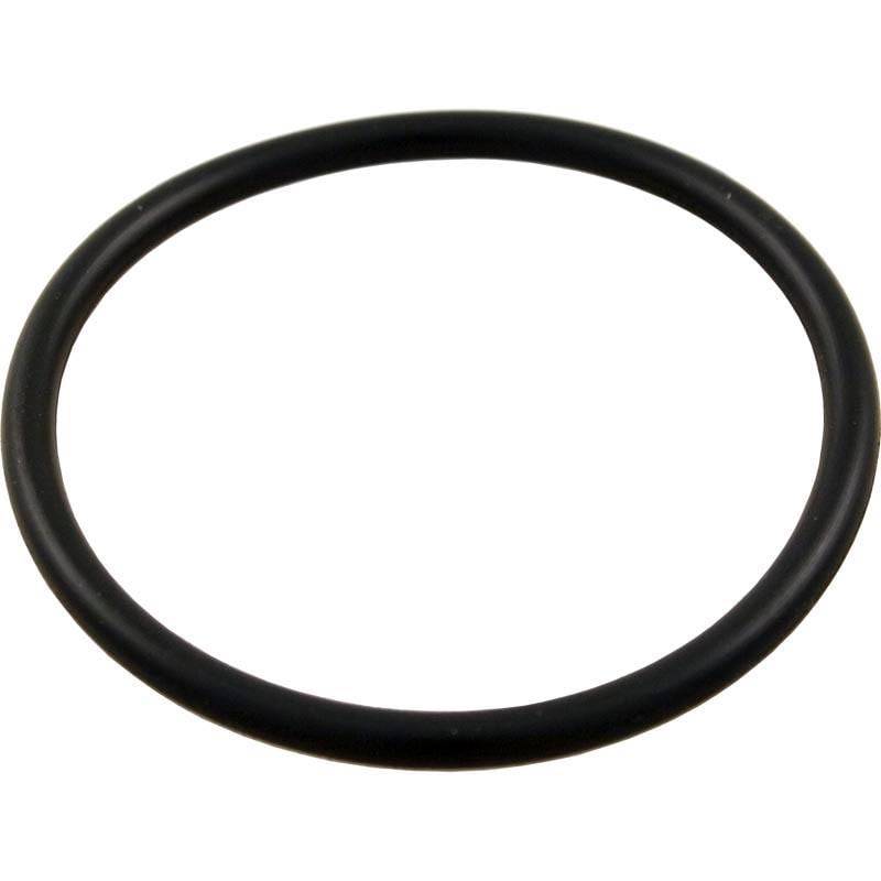 92200210 2 in. Pentair Pump Union O-Ring
