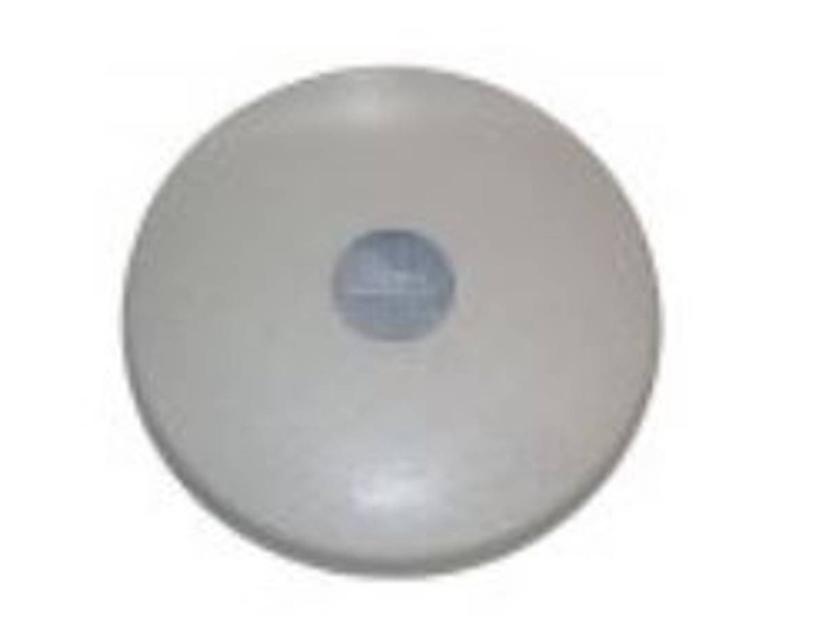 350-6292 Valve Cap, Gray