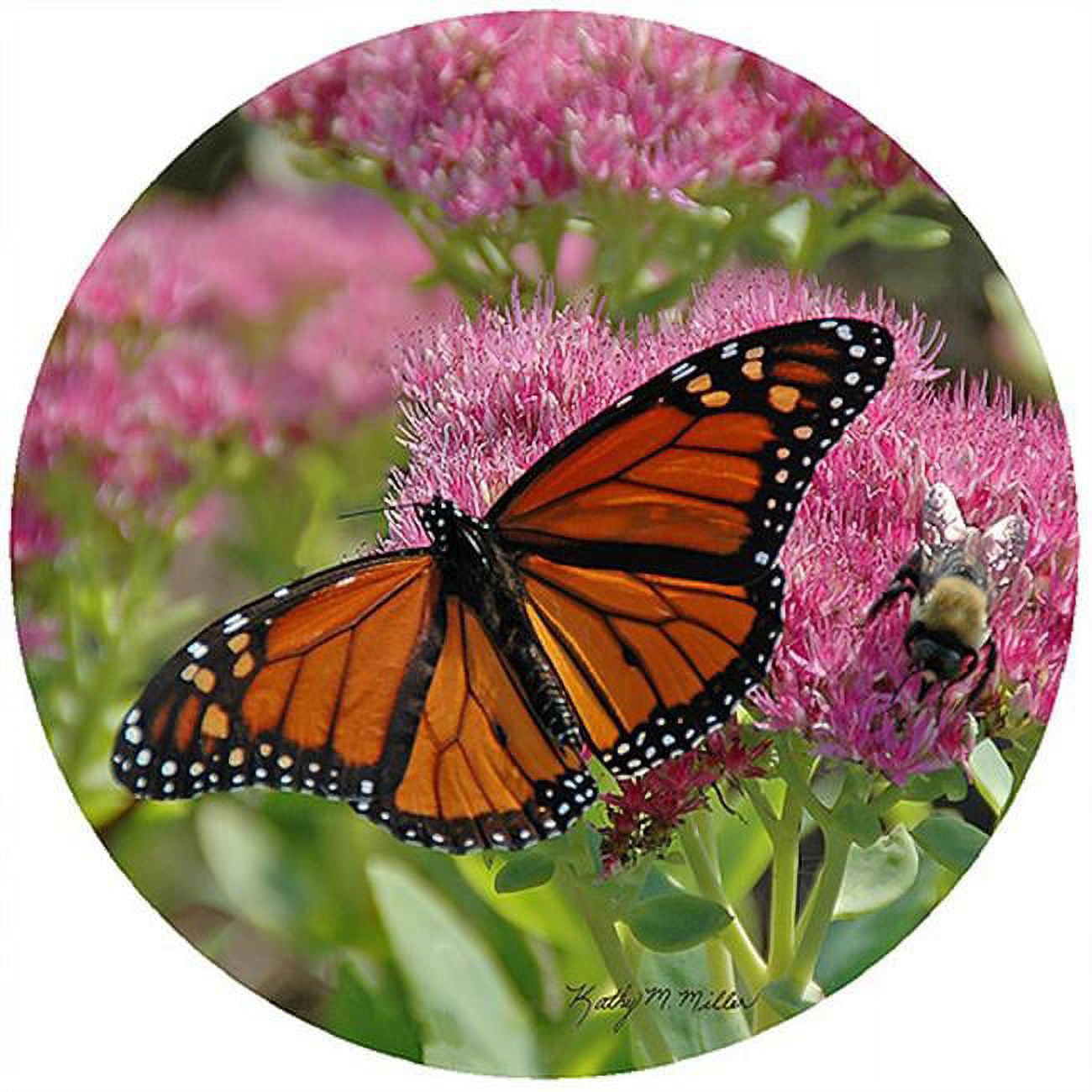 Picture of Andreas TR-KMB1 8 in. Kathy Miller Butterfly Trivet  Round - 3 Pack