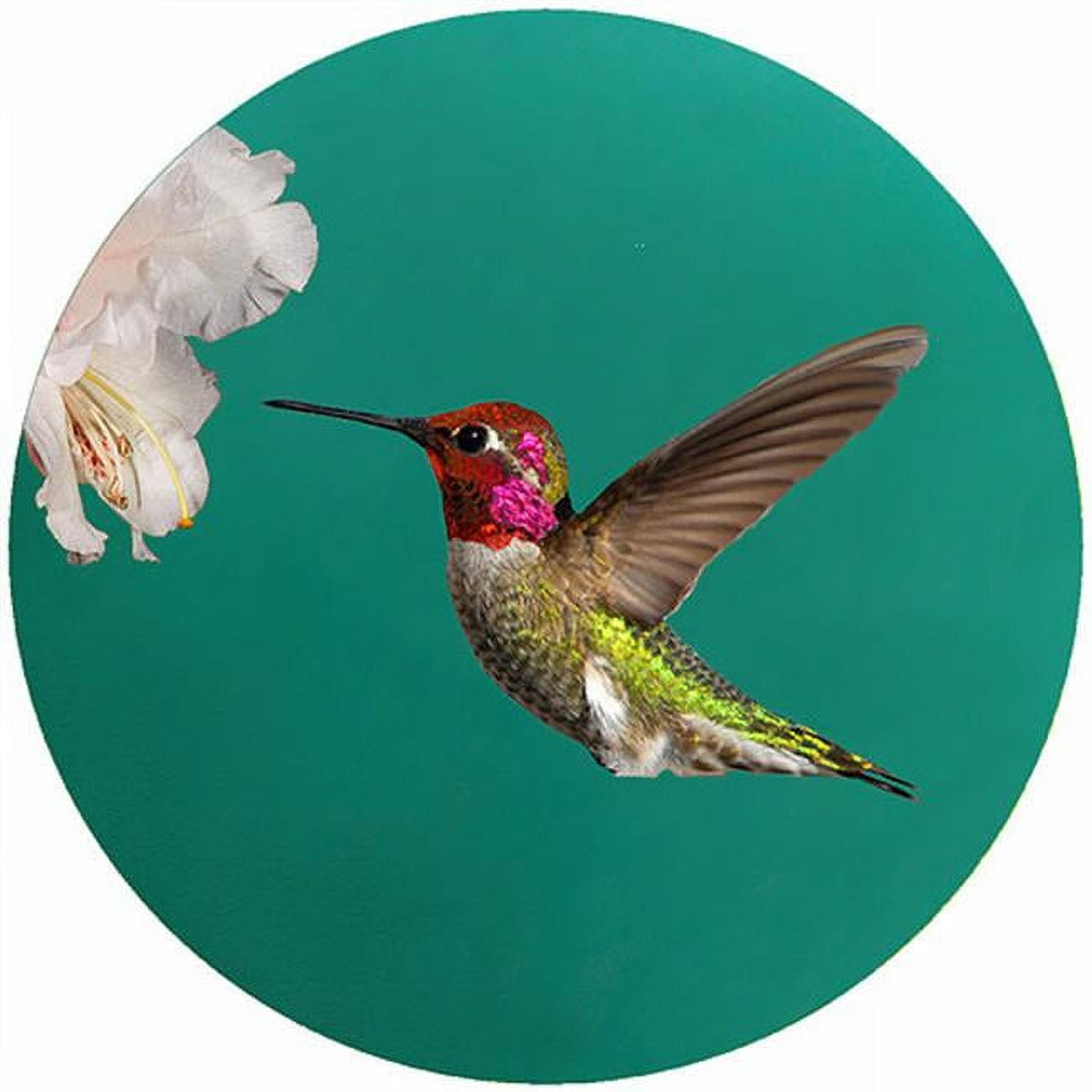 Picture of Andreas TR-CAH 8 in. Custom Annas Hummingbird Trivet  Round - 3 Pack