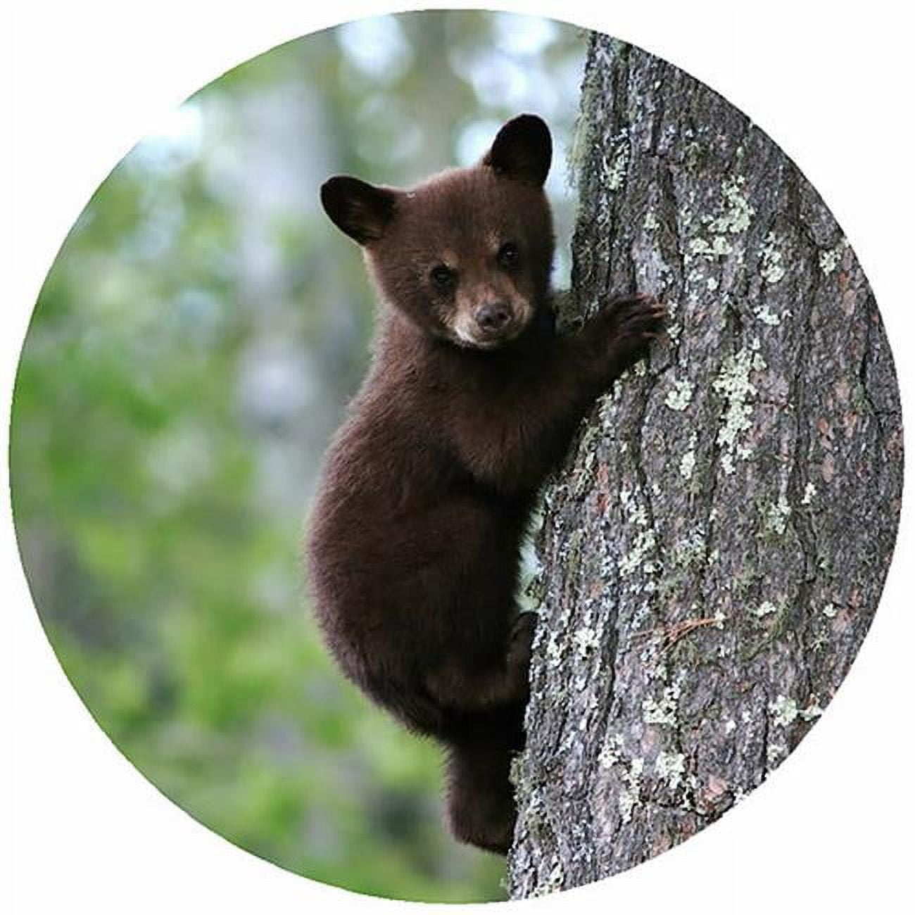 Picture of Andreas TR-BST 8 in. Bear with Single Tree Trivet  Round - 3 Pack