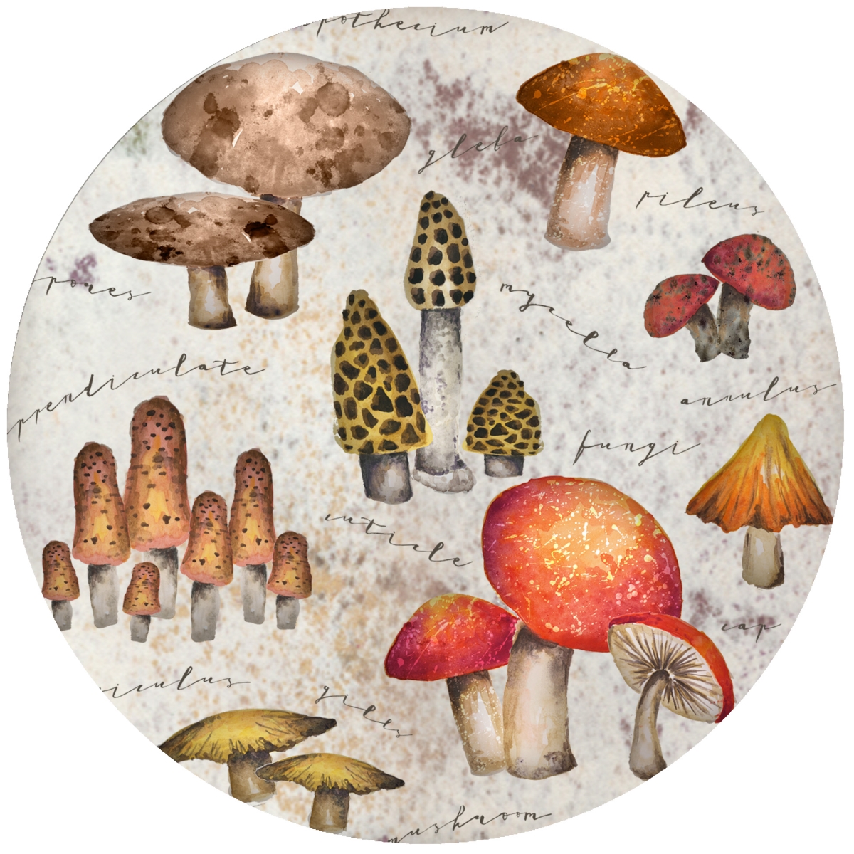 Picture of Andreas  JO-GGMM GG Mystical Mushroom Jar Opener